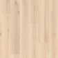 Tarkett Klebevinyl, Forest Oak-Pistaccio Shell 20 x 120 cm